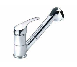 Kraan met uitneembare douche