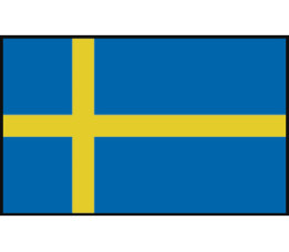 Zweedse vlag 20X30