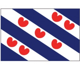 Friese vlag  40X60